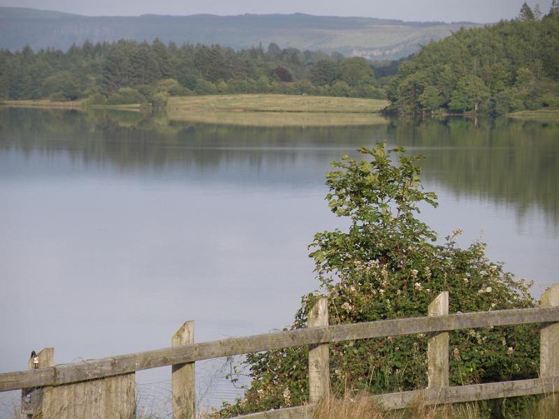 20100805o Uitzicht vanuit camper.JPG